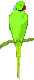:ring-necked: